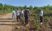 校地合作助产业 科研赋能促振兴——九三学社淮北师范大学支社专家团队赴淮北鑫炜生物科技开展产学研交流